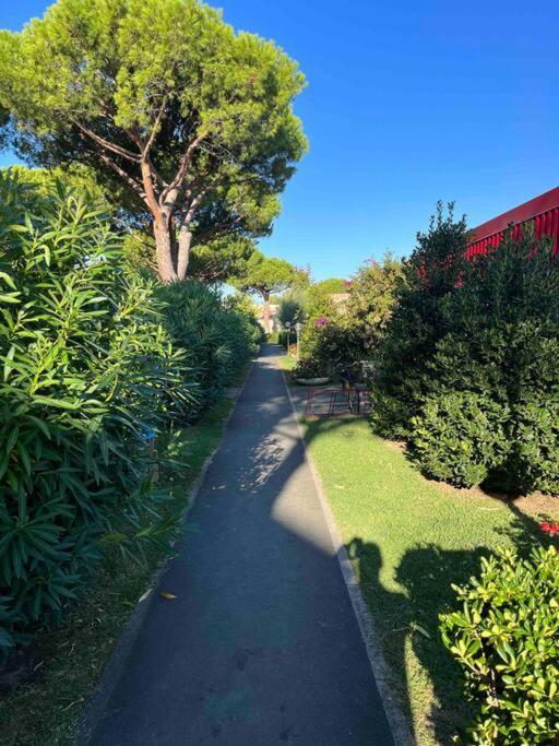 Apartamento Casina Mare Bibbona Marina Di Bibbona Exterior foto